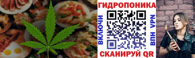 Купить  Кунгур  Cannafood конопля 
