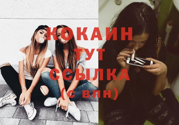 тгк Армянск