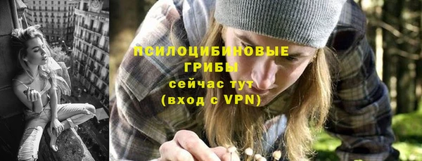 MESCALINE Аркадак