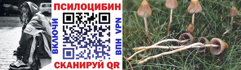 Купить где  Кунгур  Псилоцибиновые грибы мицелий 