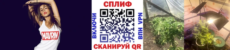 Купить закладки  Кунгур  Шишки марихуана MAZAR 